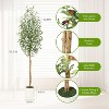 Whizmax Artificial Olive Trees, Tall Faux Plant White Planter, Fake Olive Trees with Natural Wood Trunk for Home Office Decor - 3 of 4