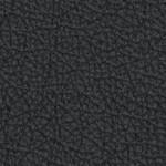 baltimore orioles 1955