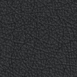 baltimore orioles 1955