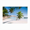 Trademark Fine Art - Stefan Hefele  Tropical Palm Matted Framed Art - 3 of 4