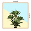 Amanti Art Agave 02 by Amini54 Canvas Wall Art Print Framed - 3 of 4