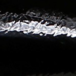 black patent