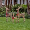 Christmas Pre-Lit Natural Rattan and Hemp Rope Reindeer Family - Set of 3 - 2 of 2