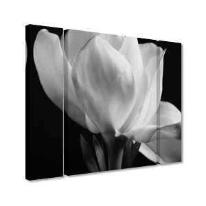 Michael Harrison 'Gardenia' Floating Brushed Aluminum Art - 1 of 3
