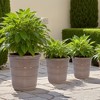 SpassWay 16" Dia Outdoor Indoor Ceramic Planter Pot Decorative Planter with Drainage Hole Patio Flower Pot - 3 of 4