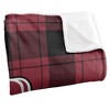 Calvin University Campus Plaid Spirit Silky Touch Super Soft Throw Blanket 50x60 - 3 of 4