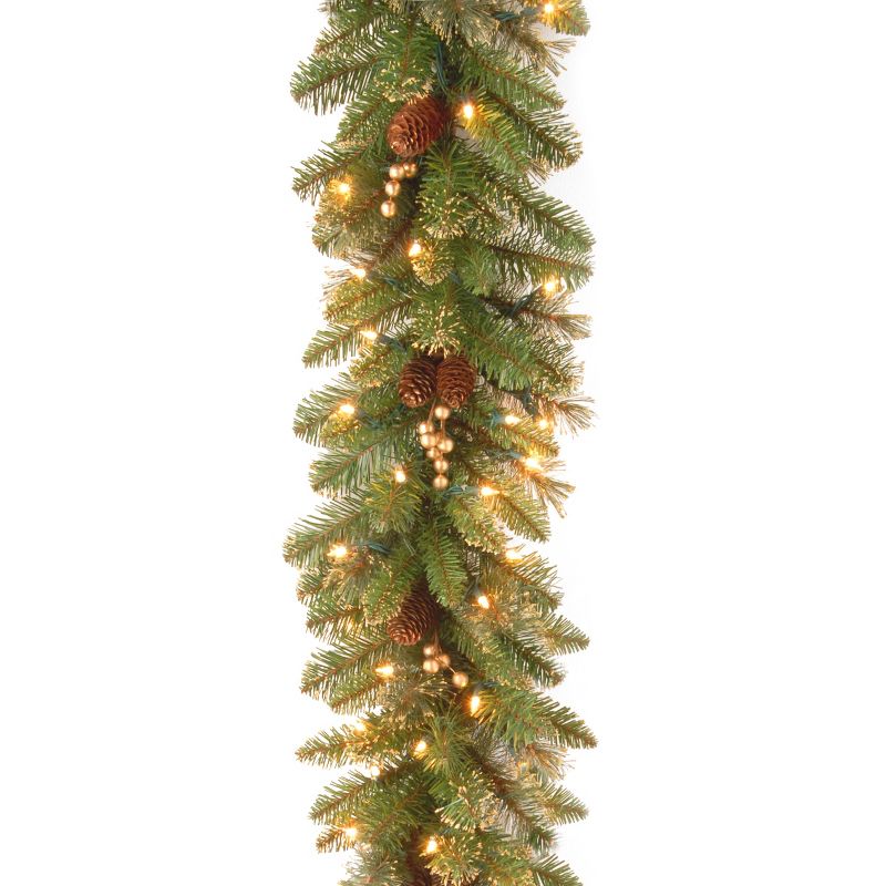 National Tree Company 9 ft. Glittery Gold Pine Garland with Clear Lights, 1 of 6