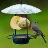Nature's Way 6oz Bluebird Buffet Novelty Bird Feeder: Metal, Weather-Resistant, No Assembly Required - 2 of 4