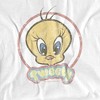 Looney Tunes Retro Tweety Adult T-Shirt - 2 of 4
