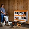 Chicken Nesting Boxes, Hole Roll Away Nest Box for Chicken Coop, Metal Egg Laying Box with Lid Cover to Protect Eggs, Rollout Egg Collection - 2 of 4
