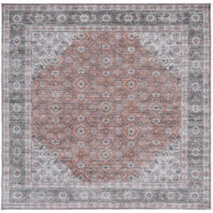 Arizona ARZ215 Power Loomed Machine Washable Skid Resistant Indoor Rugs - Safavieh - 1 of 4