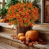 Attop Artificial Fall Flowers Outdoor Fake Mums - 16 Bundles Fake Plants UV Resistant No Fade Faux Plastic Red Orange - 4 of 4