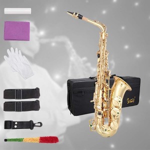 Glarry Student Alto Eb E-flat SAX Saxophone Gold Lacquer SAX Beginners Kit with Case, Reeds, Mouth Piece, Soft Cleaning Cloth and Rod, Gloves - 1 of 4
