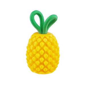 Outward Hound Dental Pineapple Treat Stuffer Dog Toy - 1 of 3
