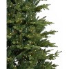 11ft. Fir Natural-Look Artificial Christmas Tree with 1250 Clear LED Lights and 4222 Branches – Grand Festive X-Mas Tree - 2 of 4