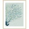 Amanti Art Seaglass Shadow I by Grace Popp Framed Wall Art Print - 4 of 4
