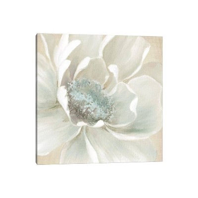 iCanvas Winter Blooms I by Carol Robinson Canvas Print Wall Art