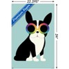 Trends International Andy Westface - Boston Terrier Work Hard Unframed Wall Poster Prints - 3 of 4