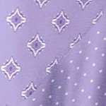 soft iris pretty rose