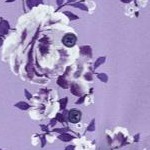 soft iris pretty rose