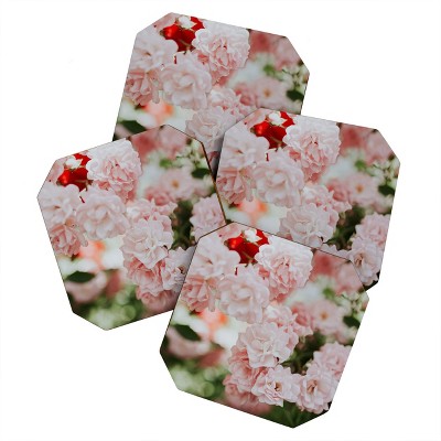Hello TwiggsSoft Pink Roses Set of 4 Coasters - Deny Designs