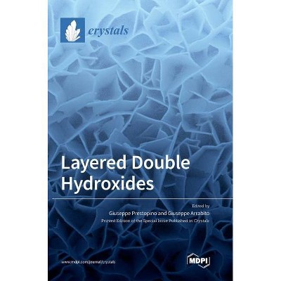 Layered Double Hydroxides - (Hardcover)