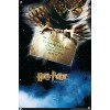 Trends International Harry Potter and the Sorcerer's Stone - Owl One Sheet Unframed Wall Poster Prints - 4 of 4