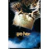 Trends International Harry Potter and the Sorcerer's Stone - Owl One Sheet Unframed Wall Poster Prints - image 4 of 4