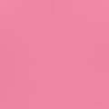 Pink Rose
