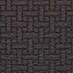 minnesota golden gophers