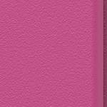 Into The Fuchsia