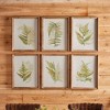Plum & Post Framed Fern Study, Set Of 6 - 3 of 3