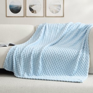 Swift Home | 50" x 70" Jacquard Patterned Plush Throw Blanket - 1 of 4