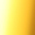 black with gold lenses