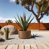 PexFix 15.5" x 12" Heavy Duty Corten Steel Round Raised Garden Bed Brown Planter Box for Outdoor Vegetables Flowers Herbs - 4 of 4