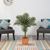 Nearly Natural 3.5-ft Golden Cane Artificial Palm Tree in Terra-Cotta Planter - 4 of 4