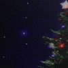 Northlight Fiber Optic and LED Lighted Color Changing Christmas Tree Canvas Wall Art 23.5" x 15.5" - 2 of 3