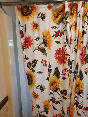 Guest review image 1 of 4, zoom in