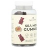 True Sea Moss Sea Moss Gummies, 60 Gummies - 4 of 4