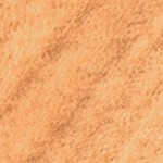 chestnut maple