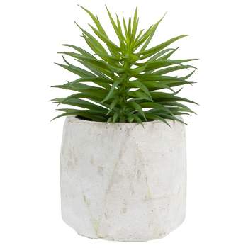 Northlight 5.5" Potted Artificial Succulent in Cement Pot