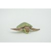Collectible Wildlife Gifts | Turtle, Green Sea Turtle, Museum Quality, Hand Painted, Rubber Reptile, Realistic, Model,  Toy, Gift,   2"   CH706 BB174 - 4 of 4
