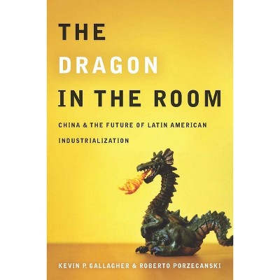 The Dragon in the Room - by  Kevin Gallagher & Roberto Porzecanski (Paperback)