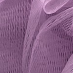 loofah coastal breeze 60g (pack of 4)