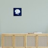 Stupell Industries Cyanotype Shells Traditional Scallop Black Framed Giclee Art - 2 of 4