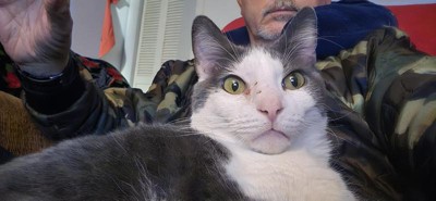 Guest review image 2 of 3, zoom in