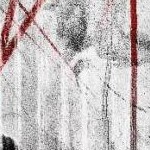 clear push pins bundle