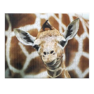 CroJack Capital Inc. Giraffe 100 Piece Photographic Collection Jigsaw Puzzle - 1 of 3