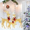 VINGLI 3-Piece Lighted Christmas Reindeer Family Set Outdoor Decorations, Weather Proof Deer Family Set of 3 Home Decor Pre-lit 270 LED Lights Gold - 2 of 4
