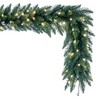 Vickerman Artificial Camdon Fir Garland - 2 of 4